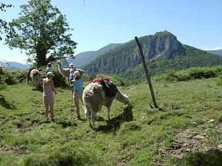 Montségur